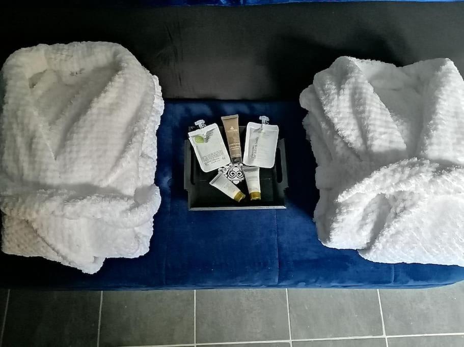 Appartement Avec Sauna Et Balneo Privatifs -Troyes Centre Luaran gambar